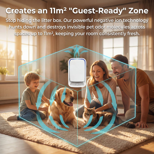 Ionic Odor Neutralizer